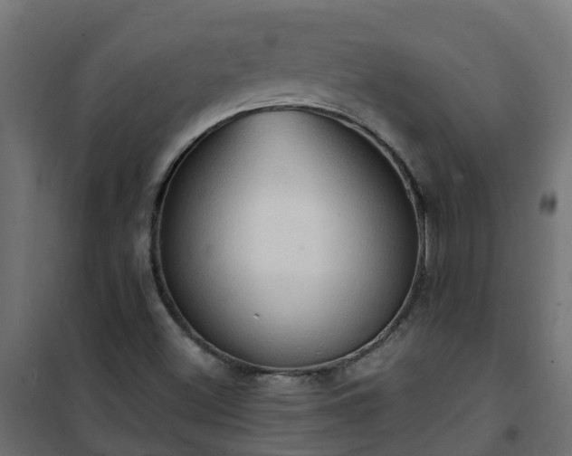 X0000101211500200807071326