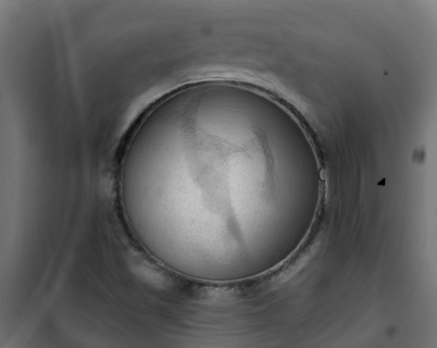 X0000101211501200807071326