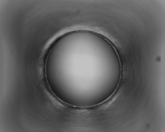 X0000101211502200807071326