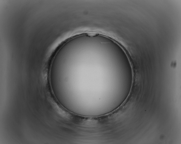 X0000101211503200807071326