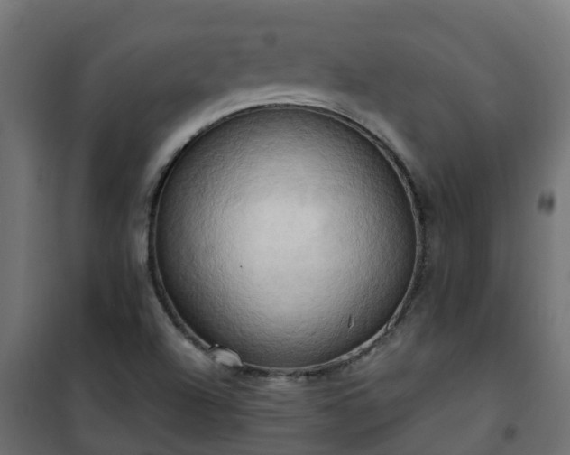 X0000101211504200807071326