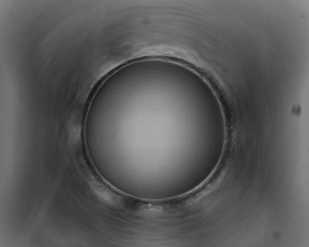 X0000101211505200807071326