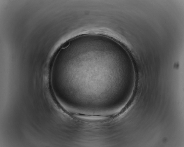 X0000101211506200807071326