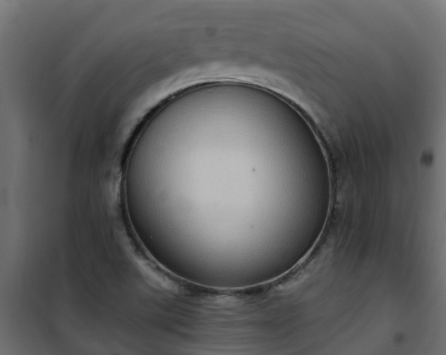 X0000101211507200807071326