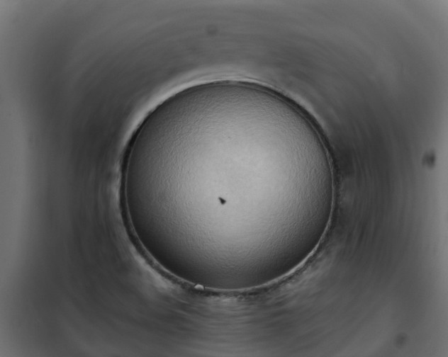 X0000101211508200807071326