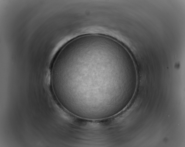 X0000101211509200807071326