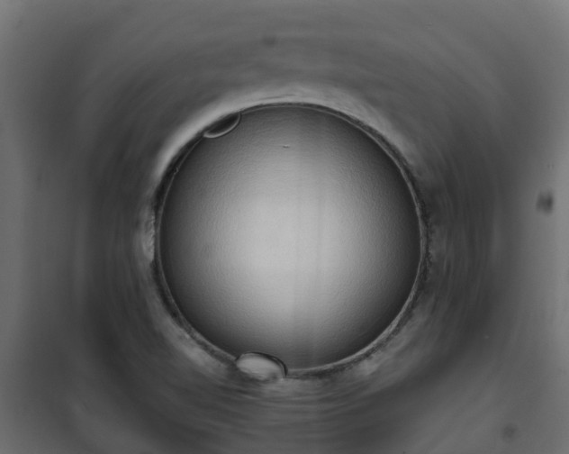 X0000101211510200807071326