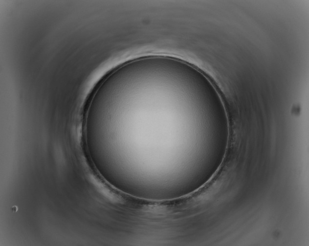 X0000101211511200807071326