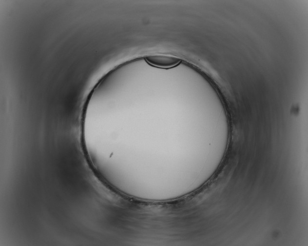 X0000101211512200807071326