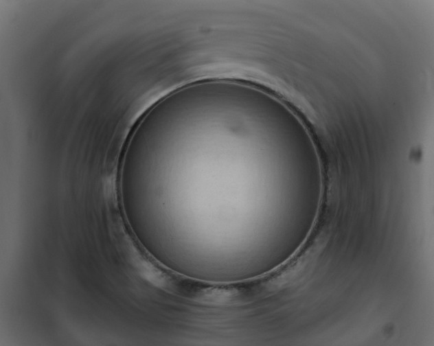 X0000101211513200807071326