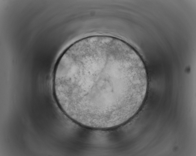 X0000101211514200807071326