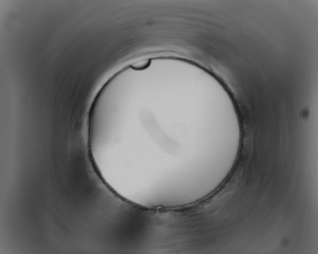 X0000101211516200807071326