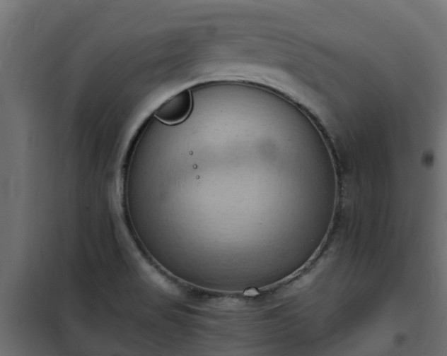 X0000101211517200807071326