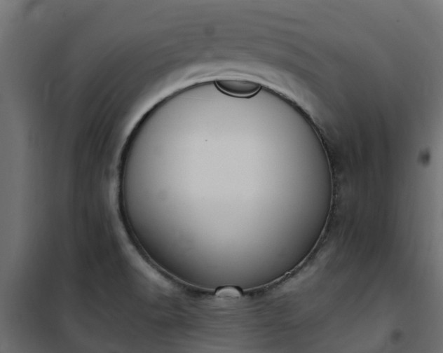 X0000101211518200807071326