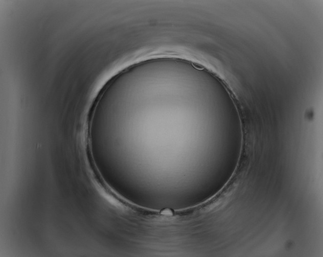 X0000101211519200807071326