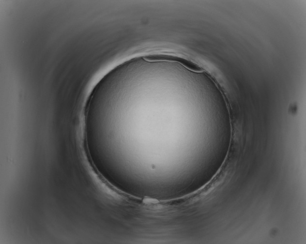 X0000101211520200807071326