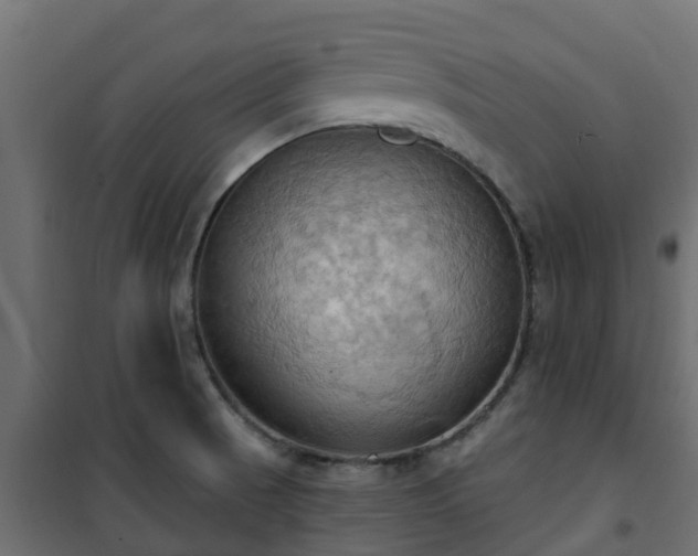 X0000101211521200807071326