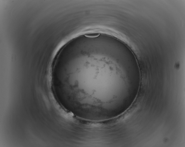 X0000101211522200807071326