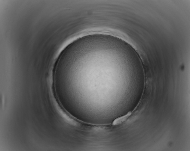 X0000101211523200807071326