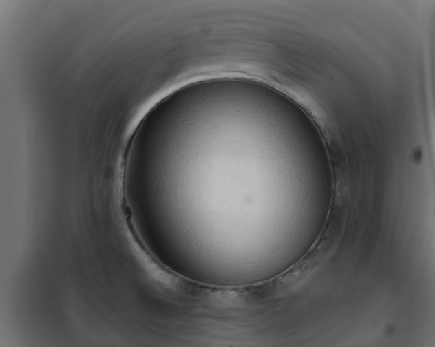 X0000101211524200807071326