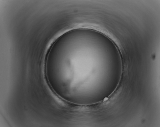 X0000101211525200807071326