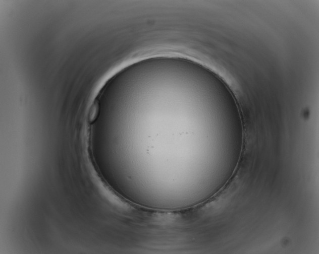 X0000101211526200807071327