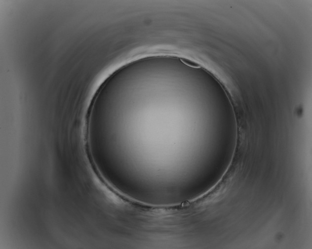 X0000101211527200807071327