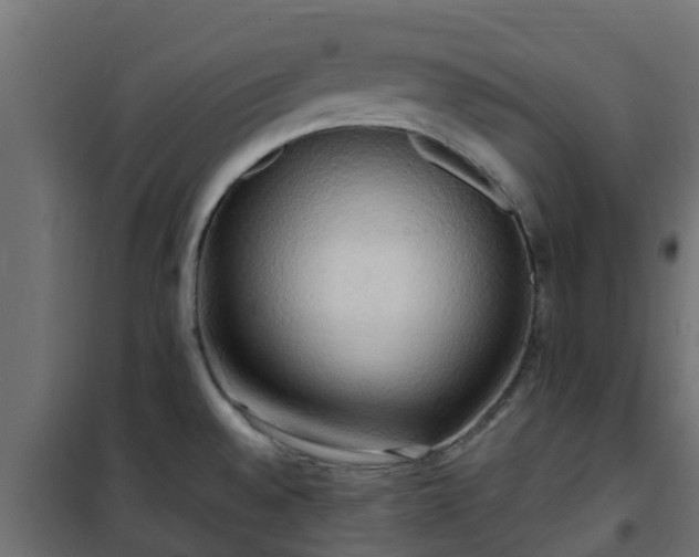 X0000101211528200807071327