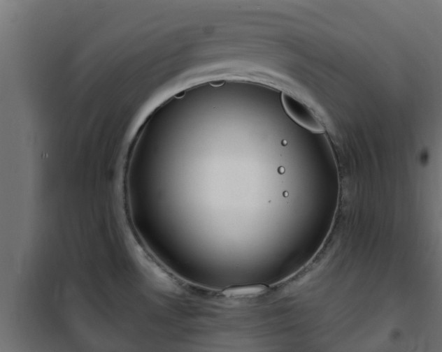 X0000101211530200807071327