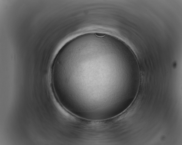 X0000101211531200807071327