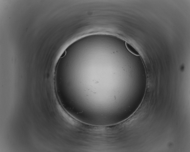 X0000101211532200807071327