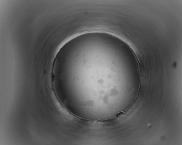 X0000101211534200807071327