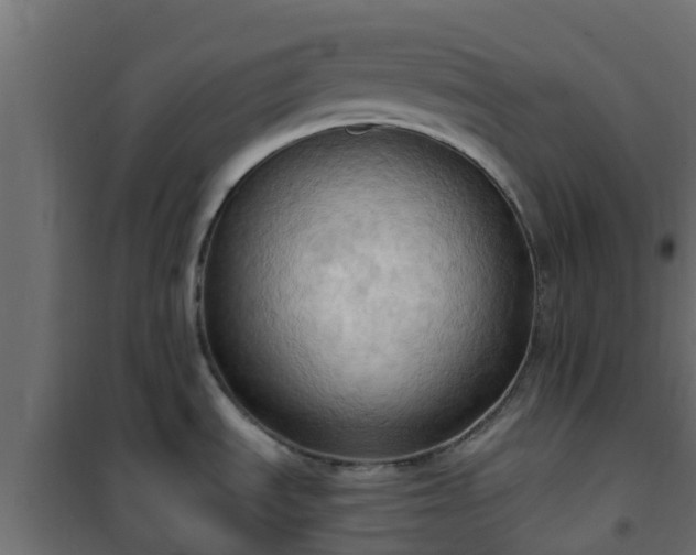 X0000101211535200807071327