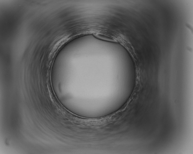 X0000101210001200807111044