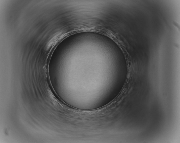 X0000101210002200807111044