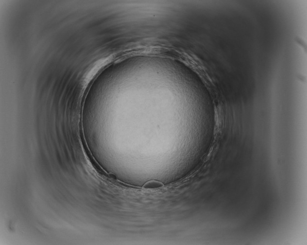 X0000101210003200807111044