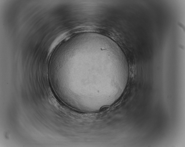 X0000101210004200807111044