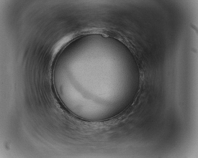 X0000101210006200807111044