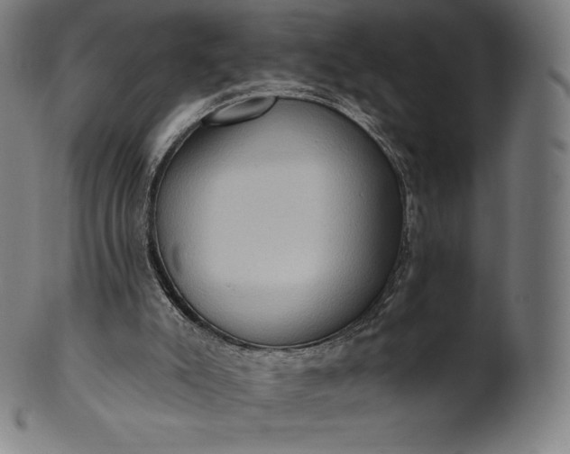 X0000101210007200807111044