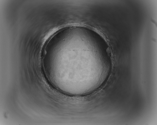 X0000101210008200807111044