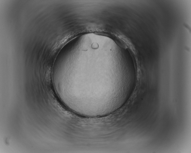 X0000101210009200807111044