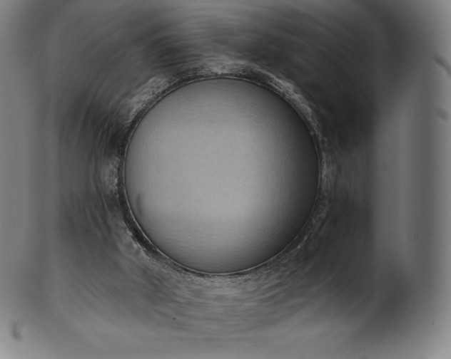 X0000101210010200807111044