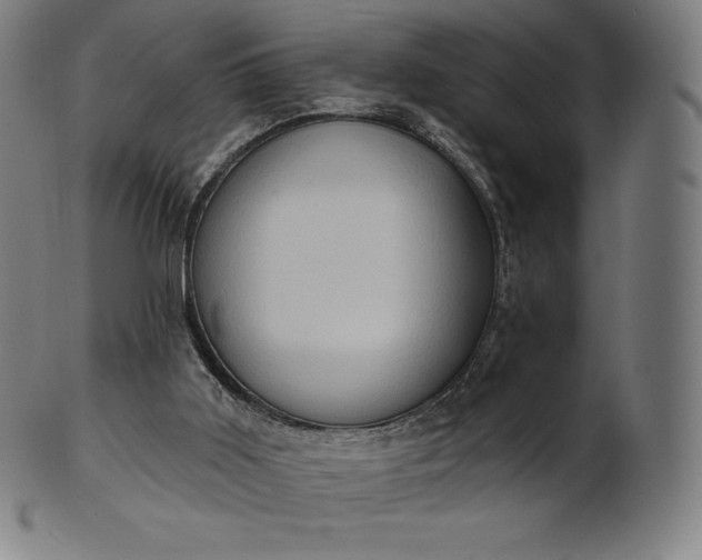 X0000101210011200807111044