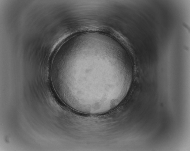 X0000101210012200807111044