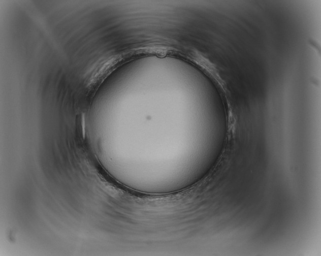 X0000101210013200807111044