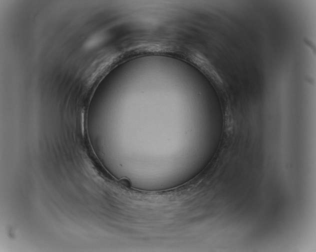 X0000101210014200807111044