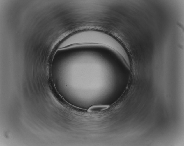 X0000101210016200807111044