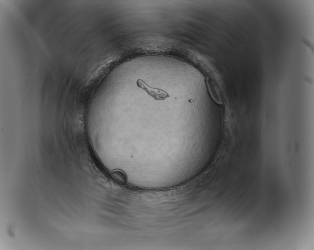 X0000101210017200807111044