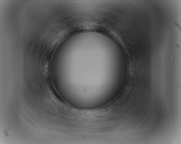 X0000101210018200807111044