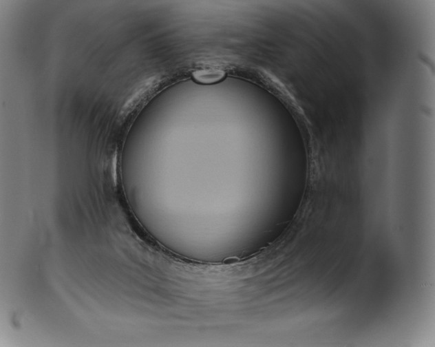 X0000101210019200807111044